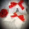 Angel Memory Wings - Image 4